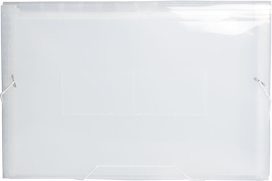 Clear Legal Size 13 Pocket Expanding Files (10 x 15)