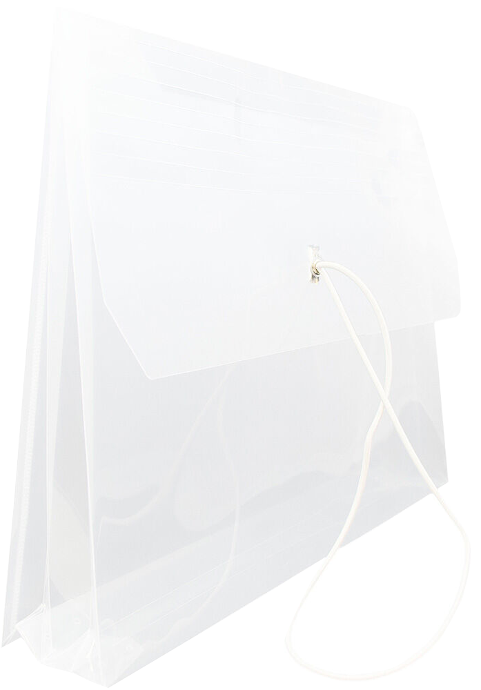 Clear Letter (9 3/4 x 13) Booklet with 2 5/8" Expansion Plastic Envelopes with Elastic Plastic