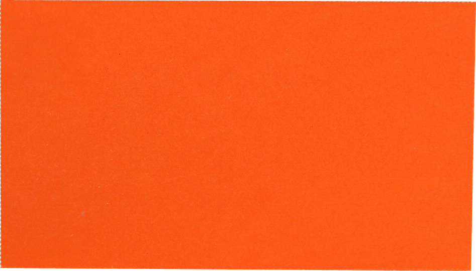 Bright Orange Business Cards - 100 Pack