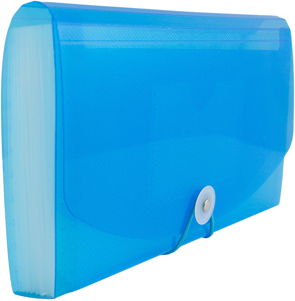 Blue Check Size 13 Pocket Expanding Files (5 x 10 1/2)