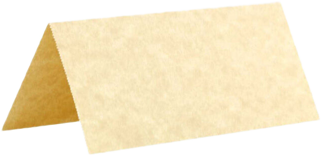 Natural Parchment 3 3/4 x 1 3/4 Printable Place Cards