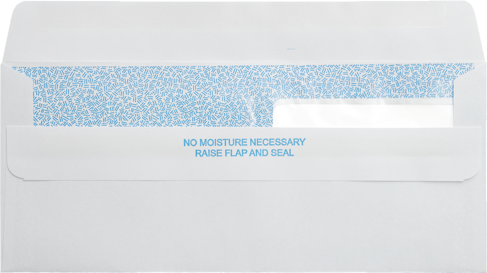 White with Security Tint 24lb #9 Regular Double Window Envelopes (3 7/8 x 8 7/8) with Redi Seal