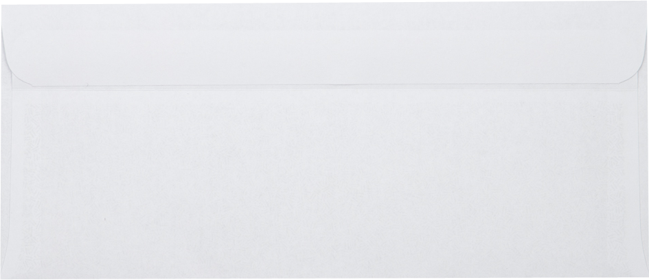 White with Security Tint 24lb #10 Window Envelopes (4 1/8 x 9 1/2) with Simple Seal