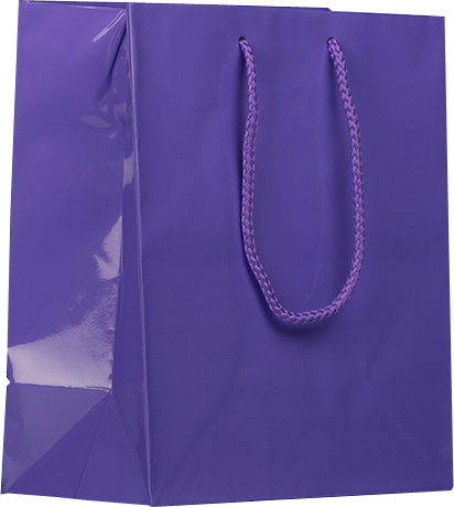 Purple Medium Glossy Gift Bags (8 x 10 x 4)