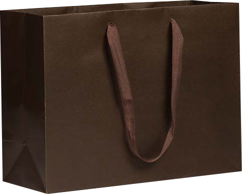 Chocolate Brown Kraft Recycled X-Large Matte Heavy Duty Gift Bags (16 x 12 x 6)