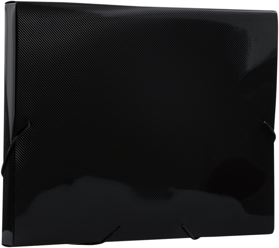 Black Letter 9 7/8 x 13 x 1 Plastic Booklet Action Case Portfolios
