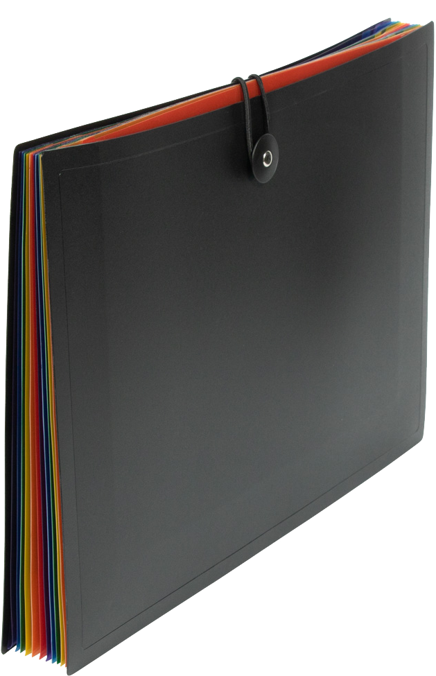 Black with Assorted Letter Size 12 Pocket Expanding Files (9 x 13)
