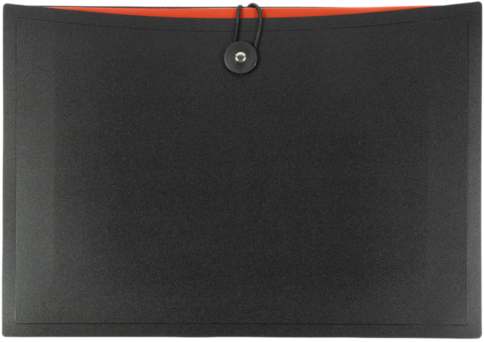 Black with Assorted Letter Size 12 Pocket Expanding Files (9 x 13)