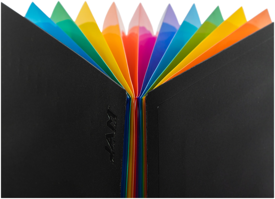 Black with Assorted Letter Size 12 Pocket Expanding Files (9 x 13)