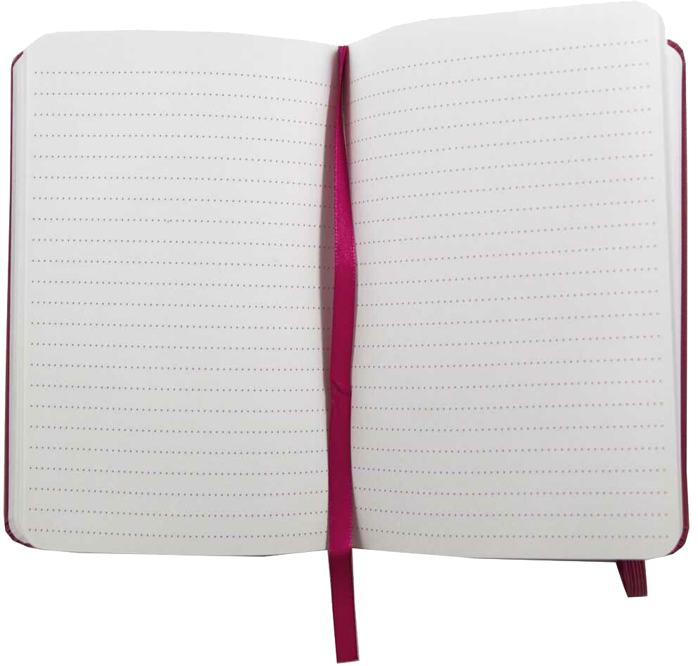 Pink Berry Large 5 7/8 x 8 1/2 Notebooks (70 Dotted Pages)