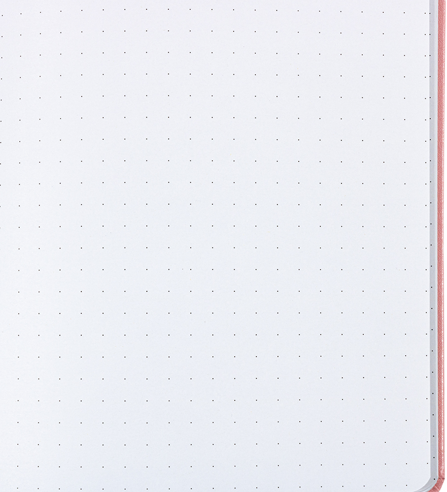 Baby Pink Large (5 7/8 x 8 1/2) Notebooks