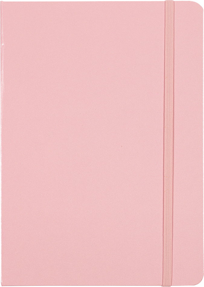 Baby Pink Large (5 7/8 x 8 1/2) Notebooks