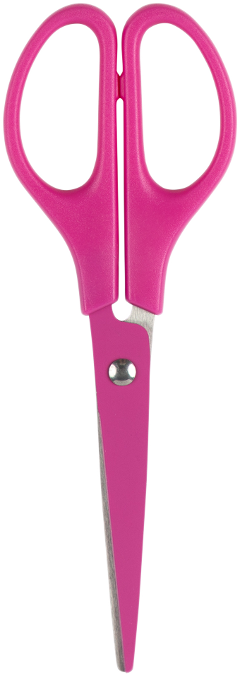 Fuchsia Small Craft Scissors