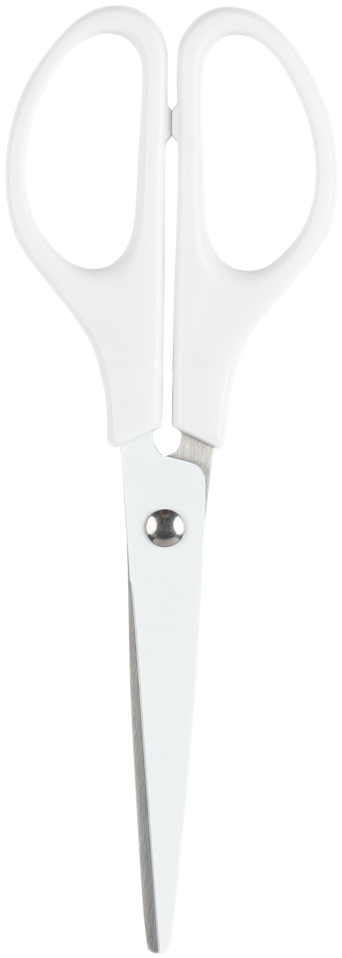 White Small Craft Scissors