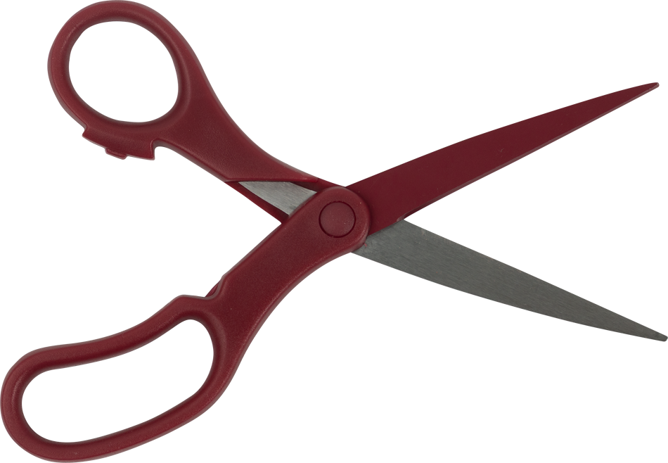 Burgundy Precision Scissors