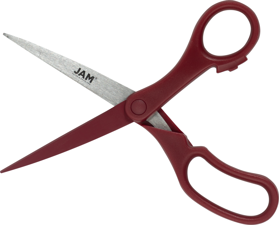 Burgundy Precision Scissors