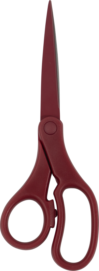 Burgundy Precision Scissors