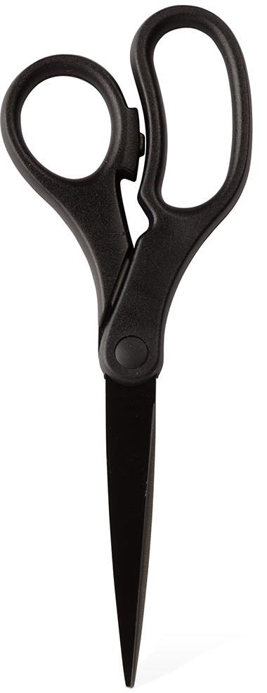 Black Precision Scissors