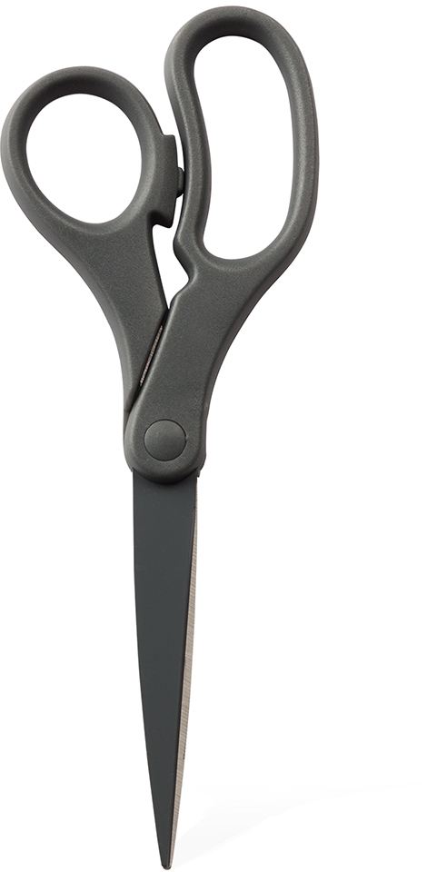 Gray Precision Scissors