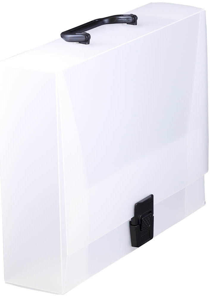 Clear 12 3/4 x 9 1/2 x 3 Plastic Carry Cases with Buckle