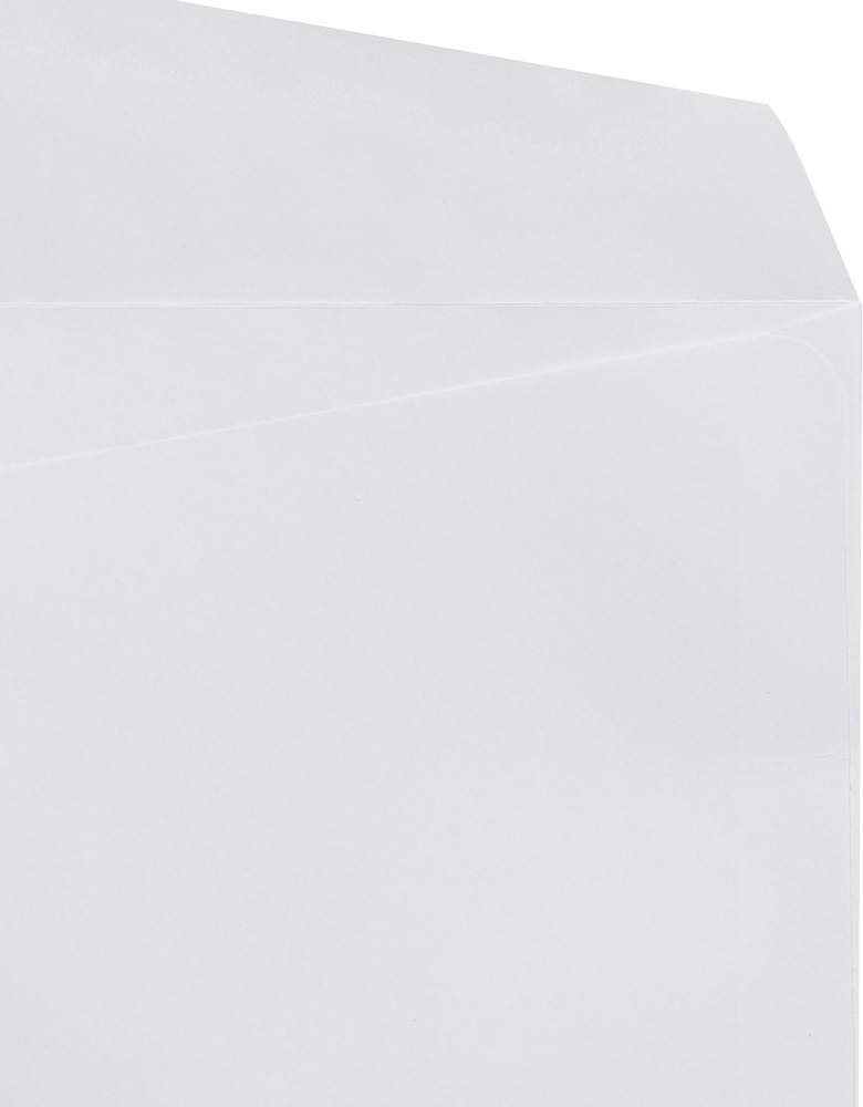 White 28lb #10 Regular Envelopes (4 1/8 x 9 1/2)
