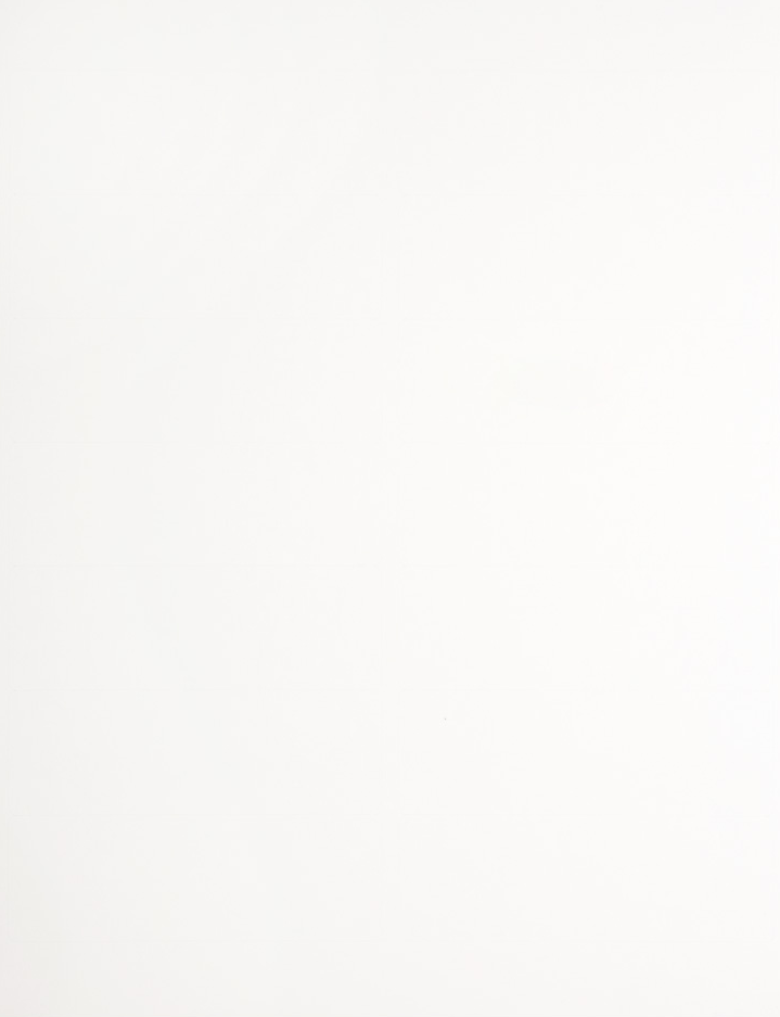 White 1 1/3 x 4 Address Labels
