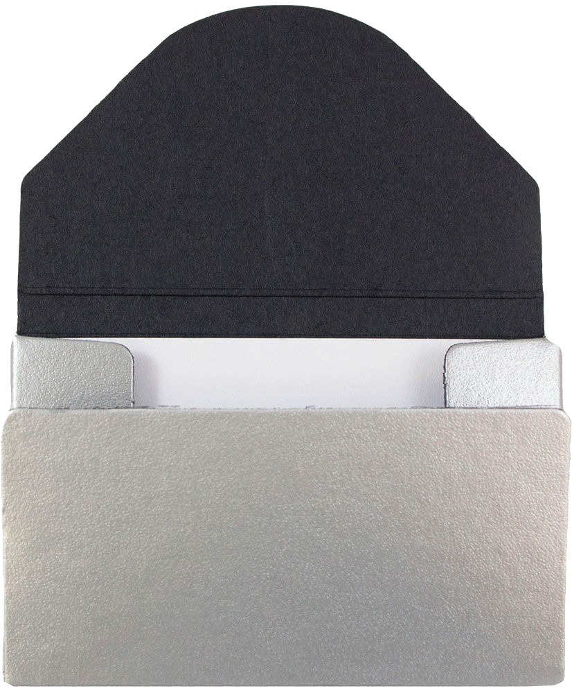 Matte Silver Chipboard Business Card Case - 20 Card Capacity