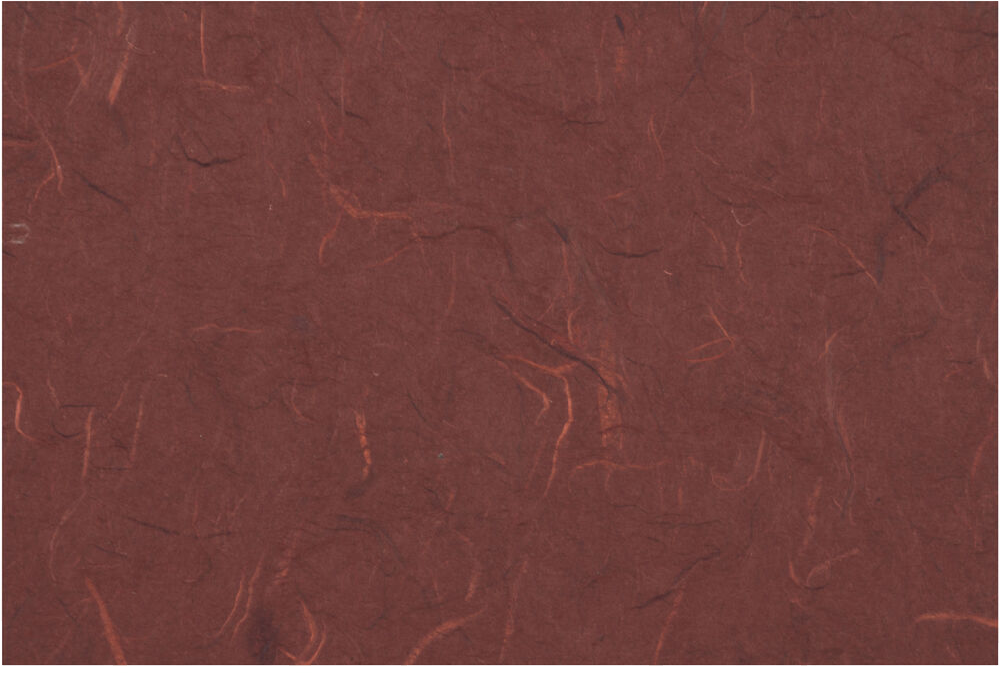Burgundy Rainforest 9 x 11 3/4 x 5/8 Button and String Portfolios