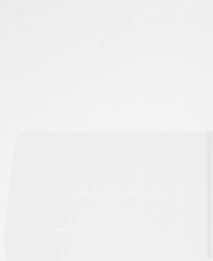 Clear 9 x 12 Plastic Regular Weight Folders