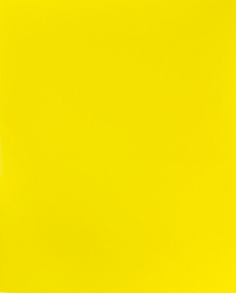Yellow 9 x 12 Plastic Pop Folders