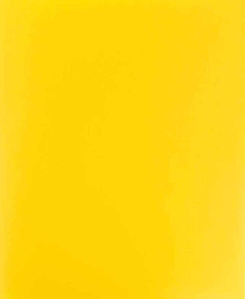 Yellow 9 x 12 Plastic Heavy Duty Folders