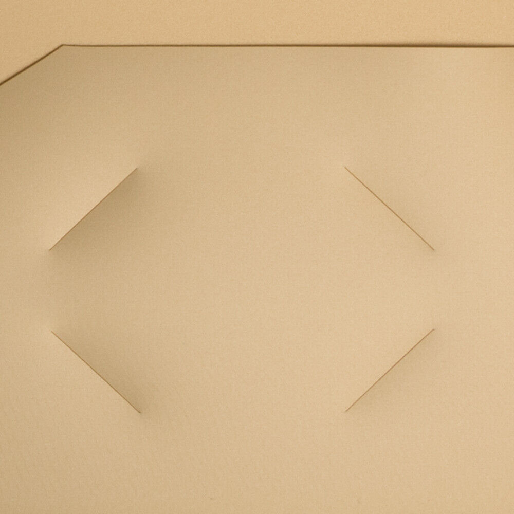 Gold 9 x 12 Plastic Heavy Duty Folders