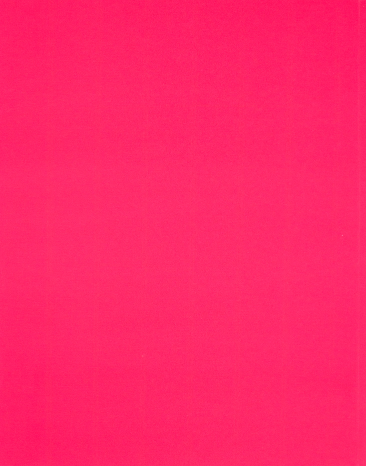 Glossy Hot Pink 9 x 12 Standard Folders