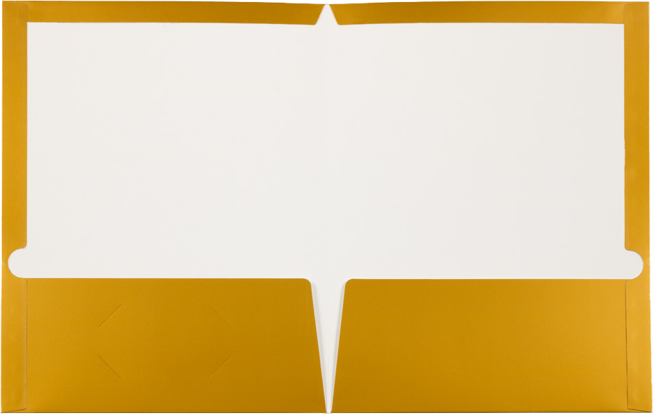 Glossy Gold 9 x 12 Standard Folders