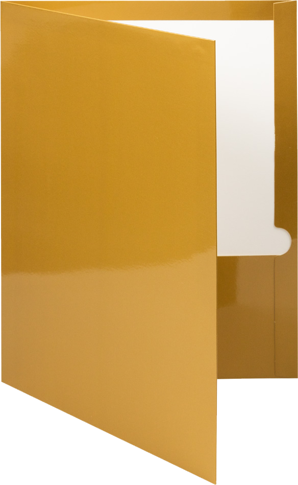 Glossy Gold 9 x 12 Standard Folders