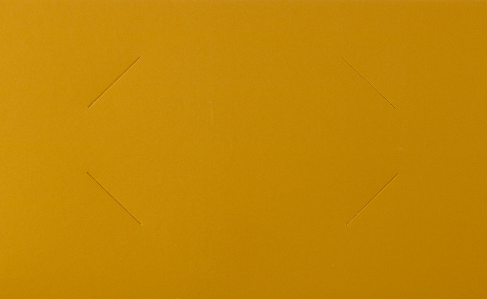 Glossy Gold 9 x 12 Standard Folders
