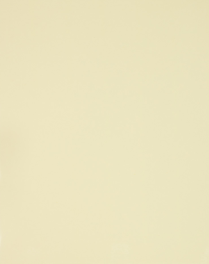 Glossy Ivory 9 x 12 Standard Folders