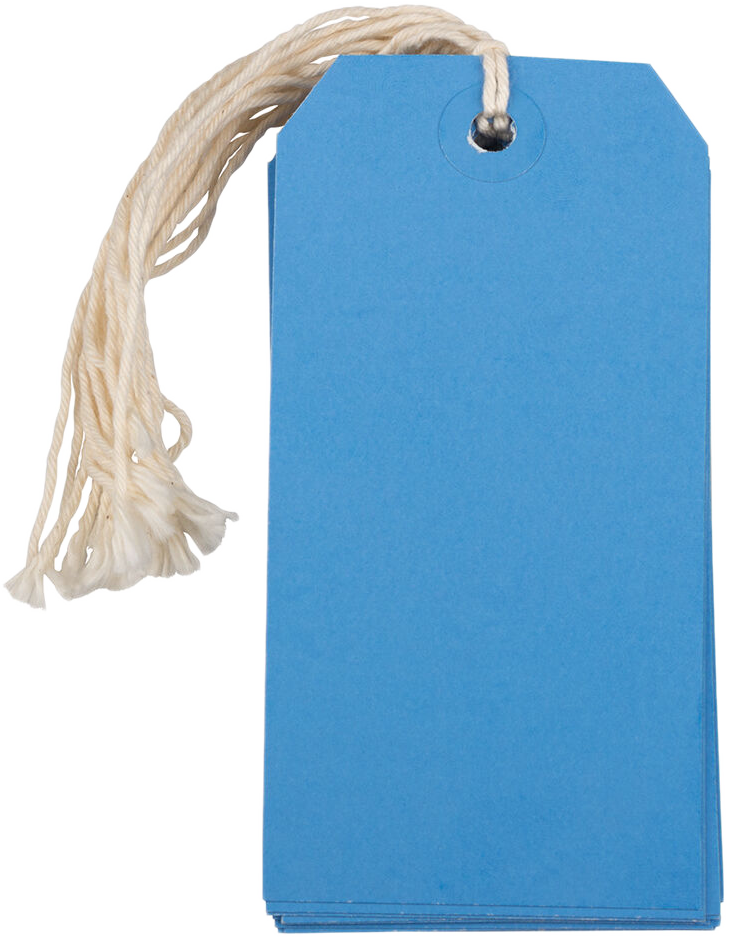 Blue Medium Gift Tags (4 1/4 x 2 3/8) - 10 Pack