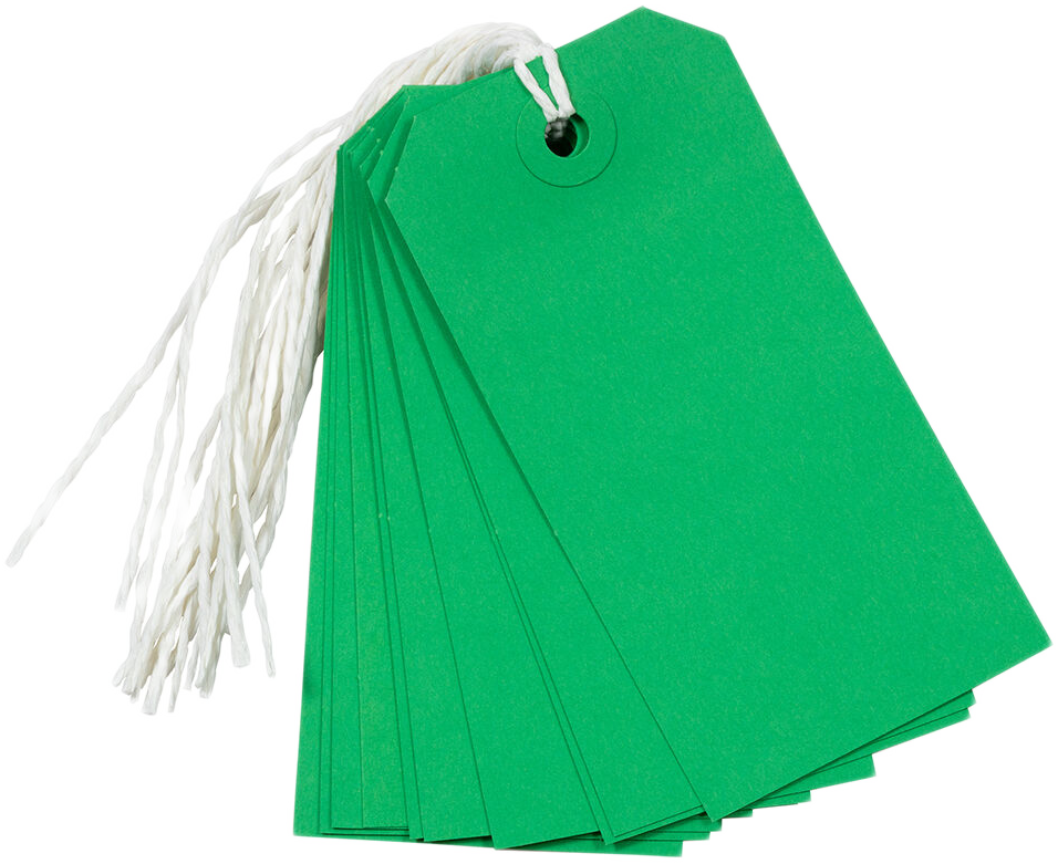 Green Medium Gift Tags (4 1/4 x 2 3/8) - 10 Pack