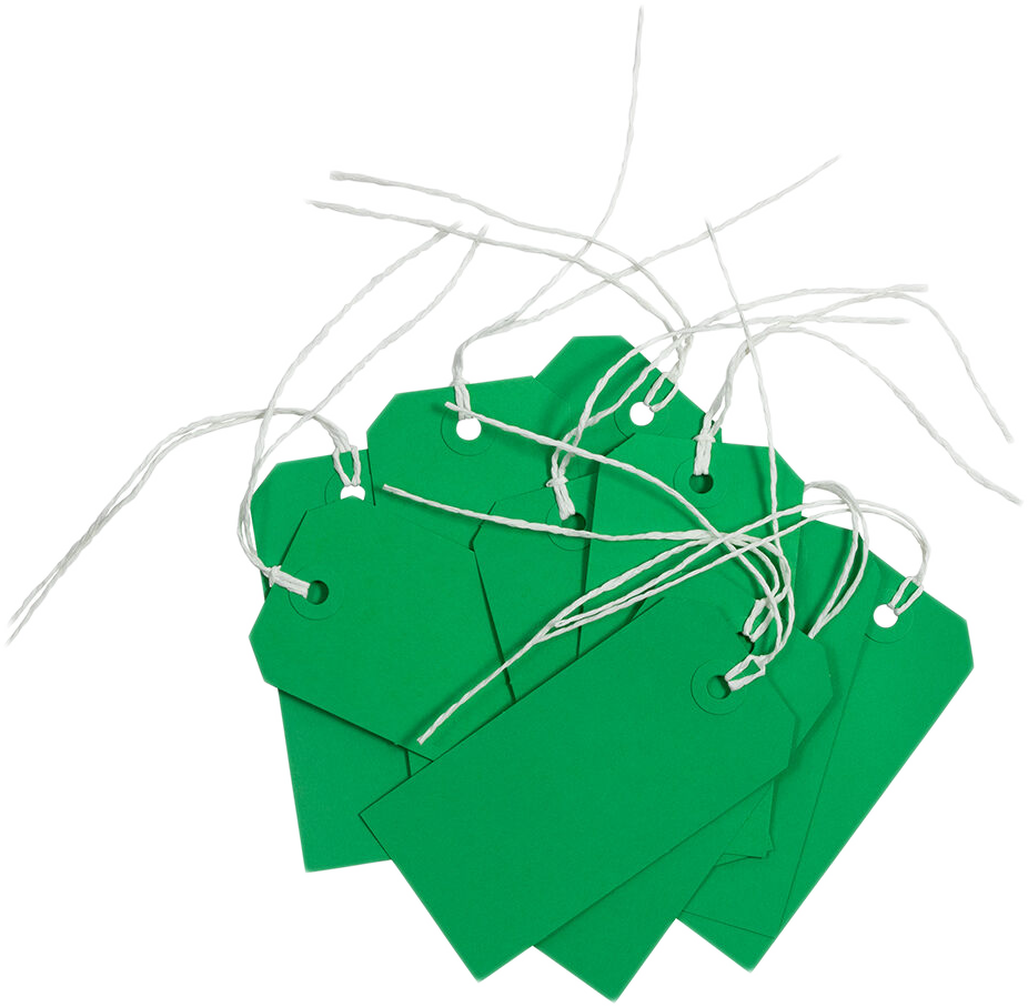 Green Medium Gift Tags (4 1/4 x 2 3/8) - 10 Pack