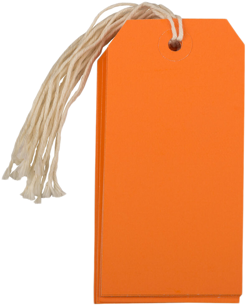 Orange Medium Gift Tags (4 1/4 x 2 3/8) - 10 Pack