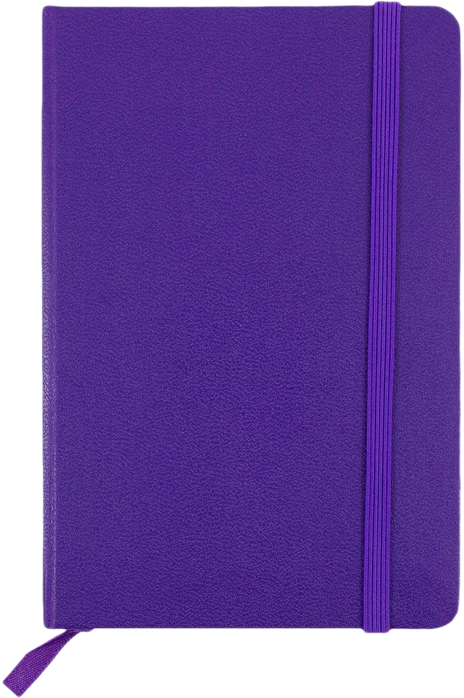 Plum Purple Travel Size 4 x 6 Notebooks (70 Dotted Pages)