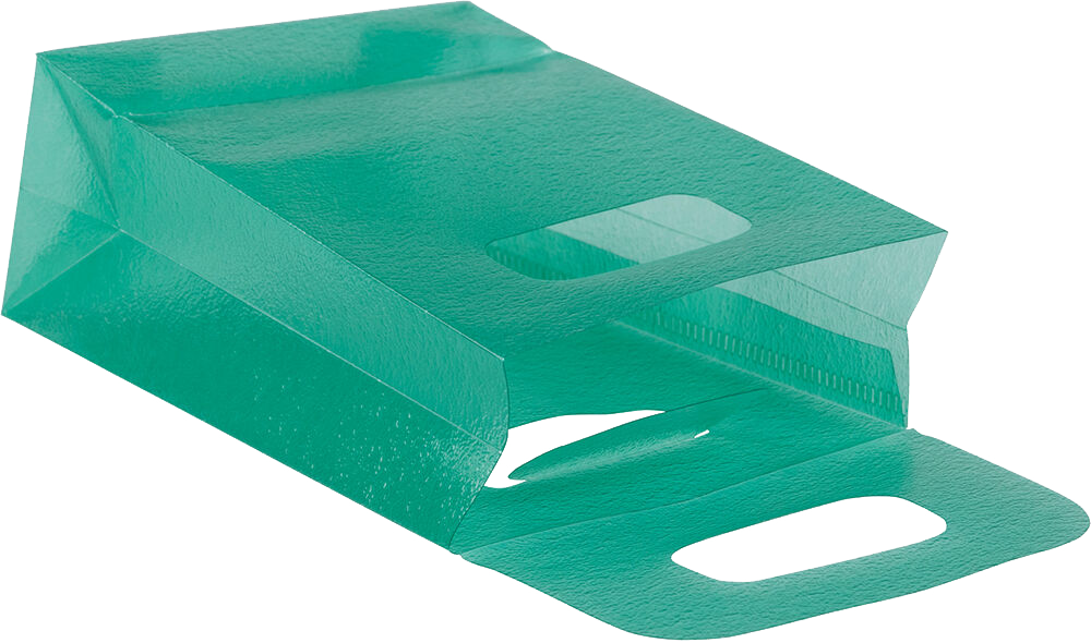 Green Frosted Small Plastic Lunch Bags (3 x 4 x 1 1/2)