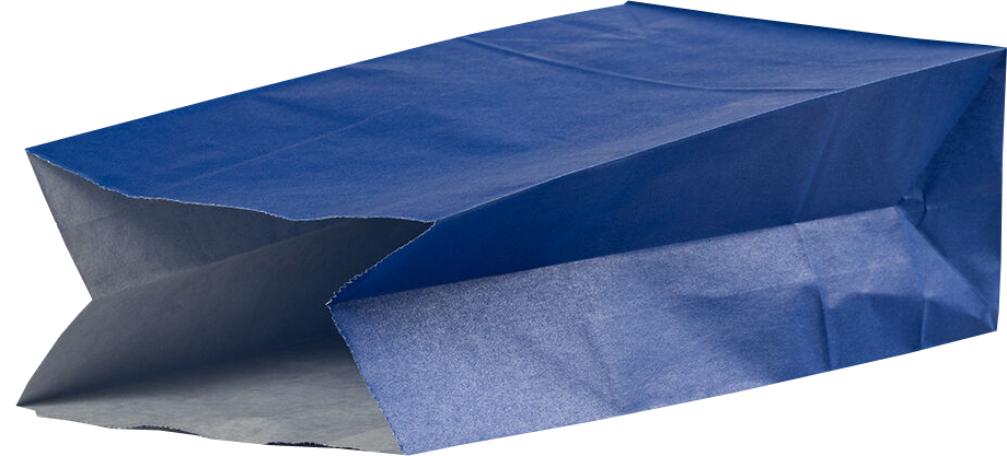 Blue Medium Lunch Bags (5 x 9 3/4 x 3)
