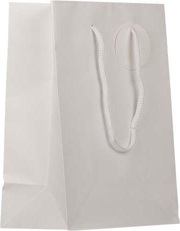 White Medium Matte Gift Bags (8 x 10 x 4)