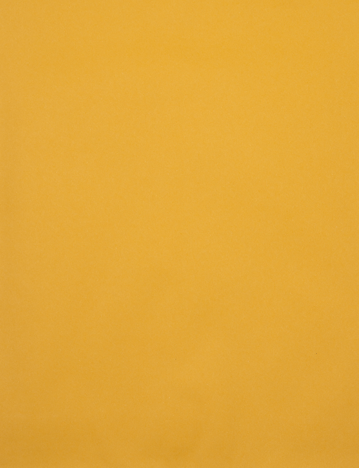 Brown Kraft 28lb 10 x 13 Open End Envelopes