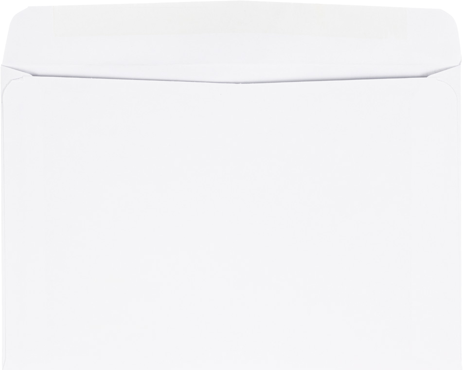 White 24lb 6 x 9 Booklet Envelopes