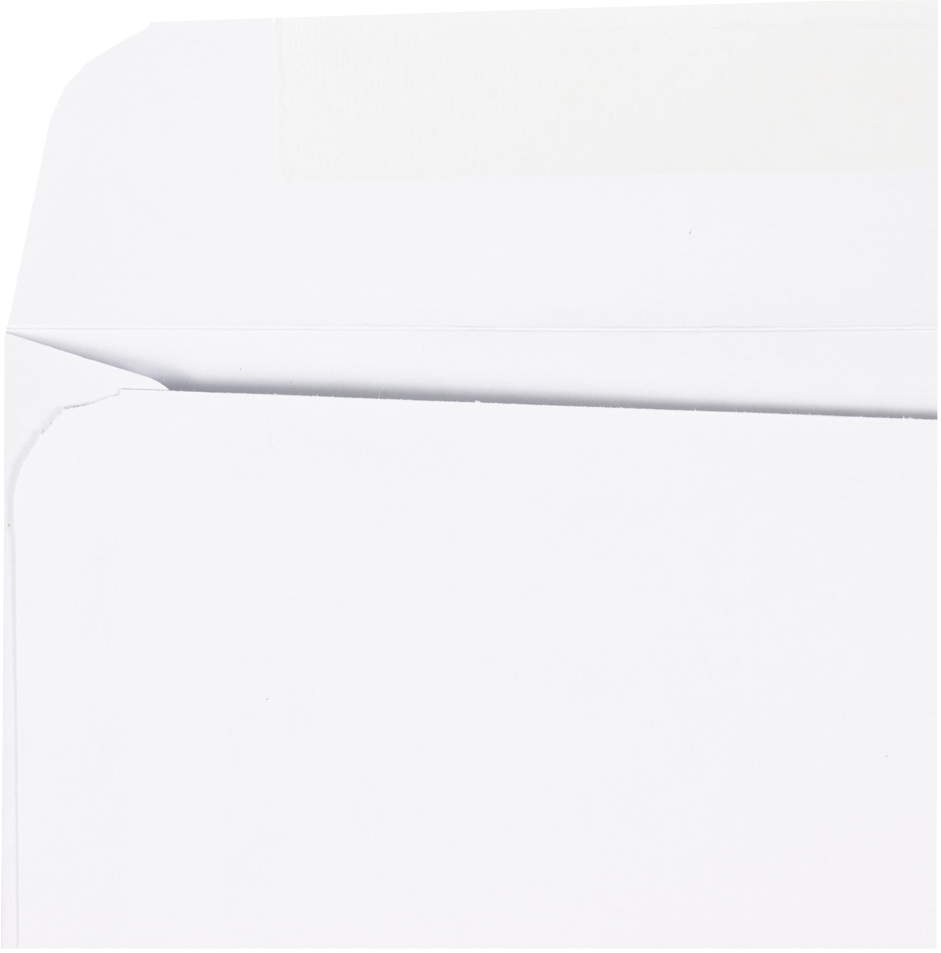 White 24lb 6 x 9 Booklet Envelopes