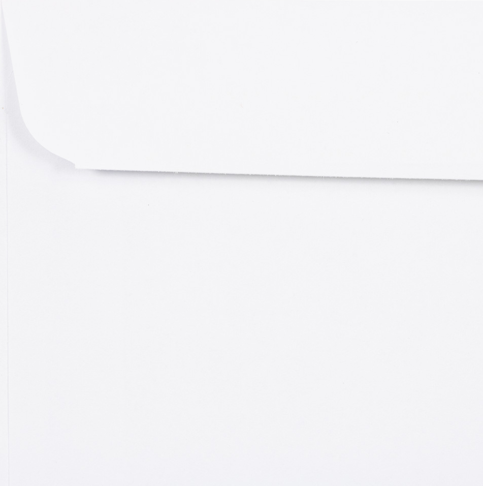 White 24lb 6 x 9 Booklet Envelopes