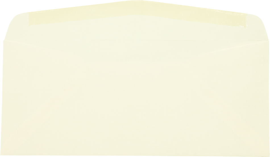Ivory Linen 24lb Neenah #10 Regular Premium Envelopes (4 1/8 x 9 1/2)